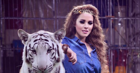 سرقة نمر أبيض نادر من سيرك المدربة أنوسة كوته وبيعه فى الإسكندرية