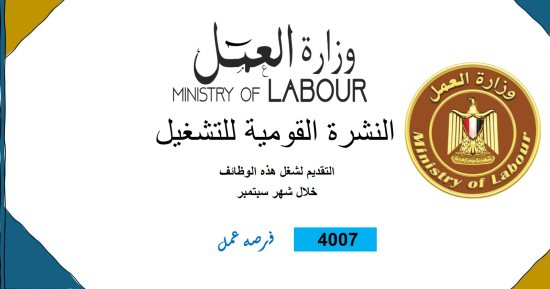 وزارة العمل تعلن 4007 فرص عمل جديدة للشباب فى 55 شركة خاصة