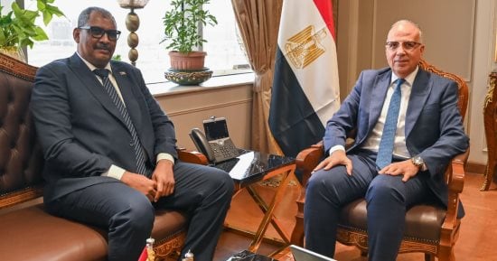 وزيرا الرى المصرى والسودانى: الحفاظ على مسار مبادرة حوض النيل