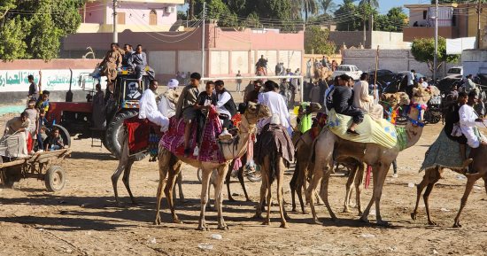 هنروح المولد.. استمتع بأجواء احتفالات المولد النبوى فى قرى الأقصر (فيديو)