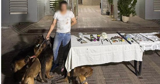 سقوط بلطجى مدينة نصر.. تاجر مخدرات أرهب الأهالى بكلاب شرسة