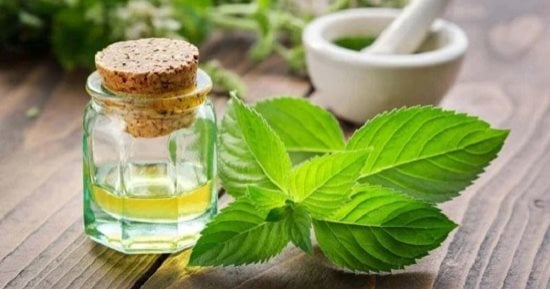 وصفات طبيعية من النعناع للعناية بالشعر.. تنظيف وتقوية ونمو