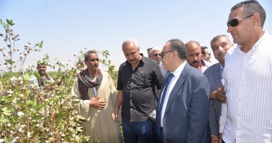 محافظ أسيوط يفتتح موسم جني القطن.. ويؤكد: عودة "الذهب الأبيض" لمكانته