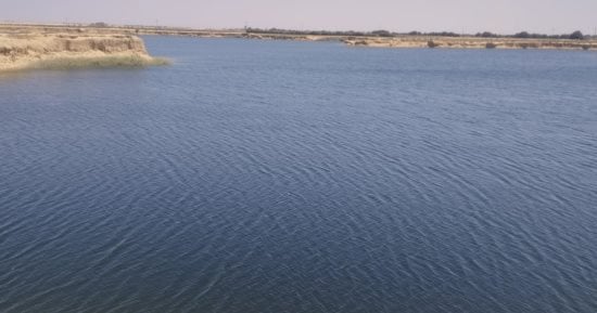 بحيرة البهنسا الغامضة.. أهالى المنيا: بدأت تتكون منذ 4 سنوات.. صور وفيديو