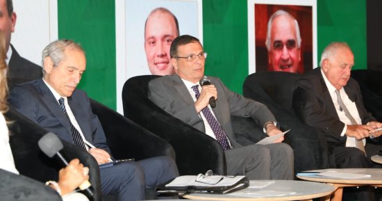 ‎وزير الزراعة: السنوات المقبلة تمثل فرصة تاريخية لمصر لترسيخ مكانتها
