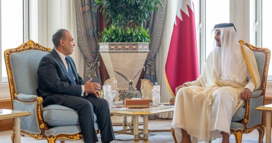 وزير الخارجية ينقل رسالة تضامن ودعم من الرئيس السيسى إلى أمير قطر