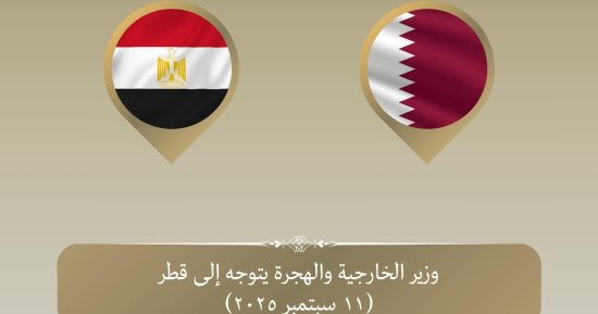 وزير الخارجية يتوجه إلى الدوحة للإعراب عن تضامن مصر مع قطر