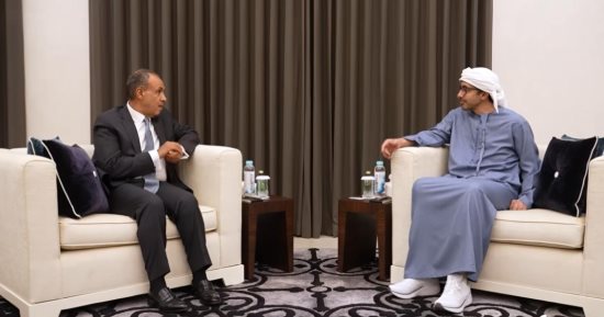 وزير الخارجية ونظيره الإماراتى يؤكدان الاعتزاز بالعلاقات المتميزة بين البلدين