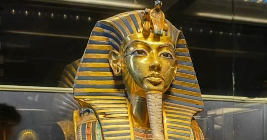 إنقاذ سيدة من عضة ثعبان.. اعرف قدسيته في الحضارة المصرية
