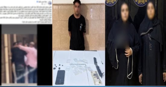 شارون حدائق القبة.. النيابة تطلب تقرير المعمل الكيميائى