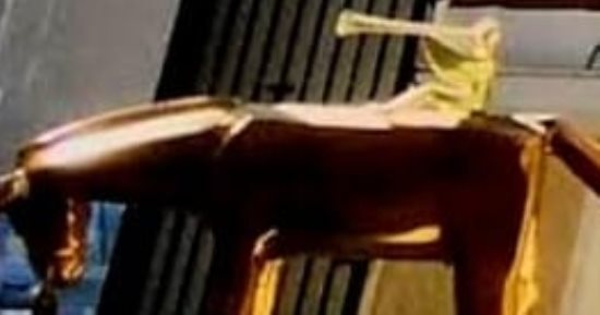 القبض على لص سرق "حمار" الفنان السيد عبده سليم من جاليرى ضى الزمالك