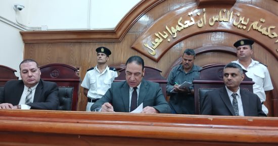 قتلت طفلها فور ولادته.. المشدد 10 سنوات لسيدة فى الشرقية