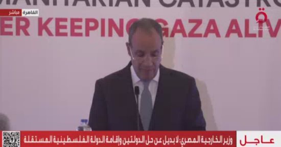 مصر تدعو دول العالم إلى الاعتراف بالدولة الفلسطينية