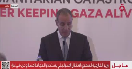 بدر عبد العاطى: لا بديل عن حل الدولتين وإقامة دولة فلسطينية مستقلة