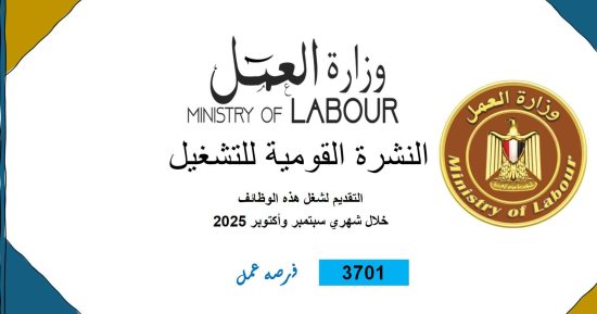 وزارة العمل تعلن عن 3701 فرصة عمل جديدة فى 44 شركة خاصة 