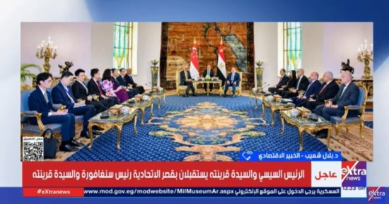 خبير: تعاون مصر مع سنغافورة سيكون له تأثير على تنمية القطاع الصناعى