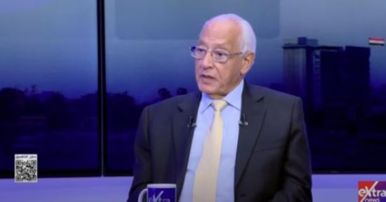 علي الدين هلال : أوروبا تتحرك لمعاقبة إسرائيل اقتصاديا