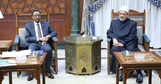 شيخ الأزهر يستقبل وزير التعليم العالى والبحث العلمى السودانى لبحث تعزيز التعاون المشترك