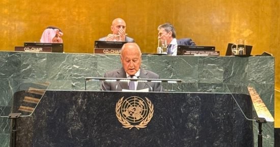 أبو الغيط بمؤتمر حل الدولتين: الاعتراف بالدولة الفلسطينية مسار لا رجعة عنه