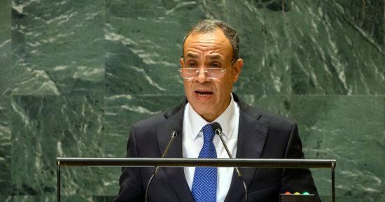 الخارجية تتابع عن كثب أوضاع المصريين فى مالى