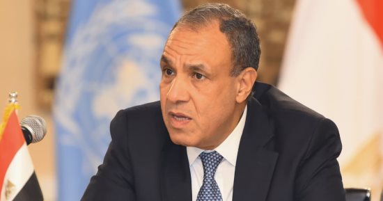 وزير الخارجية يؤكد على ثوابت الموقف المصرى تجاه الأزمة فى السودان