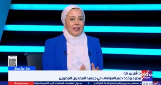 شيرين طه: السياسات الحكومية من أسباب زيادة صادرات الصناعات الهندسية