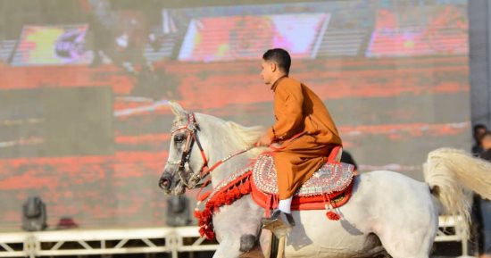 164 جواد عربى أصيل يتنافسون فى مهرجان الشرقية للخيول العربية اليوم.. صور