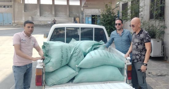 ضبط نصف طن دقيق مدعم قبل تهريبه إلى السوق السوداء بالإسكندرية