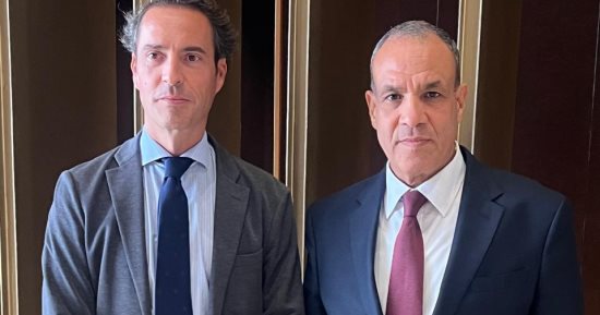 وزير الخارجية يؤكد أهمية التعاون مع ألمانيا فى إزالة الألغام والأمن السيبرانى