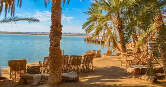واحة سيوة أيقونة السياحة الشتوية والبيئية.. البحيرات الطبيعية وعيون المياه والنخيل تجعلها لوحة رائعة فى قلب الصحراء.. السياح يعشقون طابعها الفطرى والبيئى وتراثها الفريد.. والأهالى يتمسكون بتقاليدهم.. صور