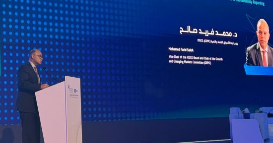 رئيس الرقابة المالية: وضع خط أساس عالمى موحد لتقارير الاستدامة لإعداد تقارير مالية