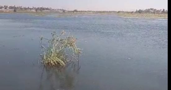 تفاصيل ارتفاع منسوب النيل فى سوهاج ووصول المياه للجزر.. فيديو