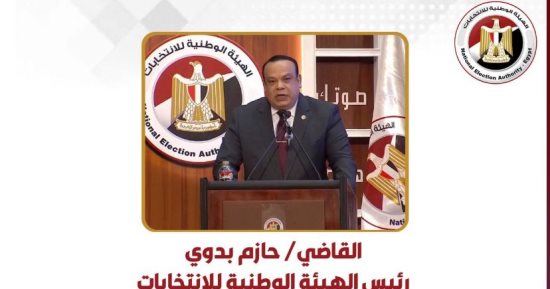 بدء اقتراع المصريين المقيمين فى نيوزيلندا بالدوائر الملغاة بانتخابات النواب