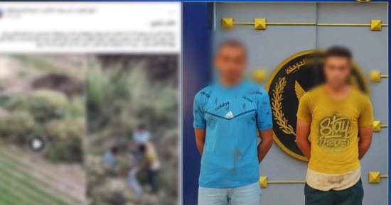 بعد عقر والد أحدهما.. شخصان يجمعان كلابًا ضالة داخل أجولة