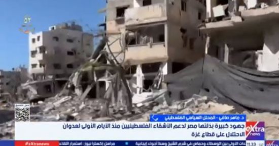 ماهر صافي: مصر لم تتخل عن القضية الفلسطينية دبلوماسيا وسياسيا وإنسانيا