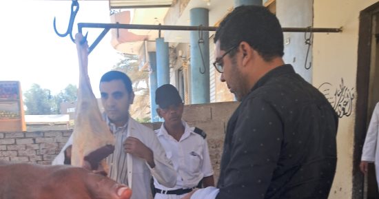 ضبط لحوم وأسماك غير صالحة للاستهلاك الآدمى فى حملة على الأسواق بسوهاج