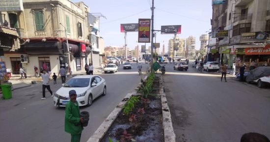 التنمية المحلية تعلن انتهاء تشجير وتجميل محور الشعراوى فى السيدة نفيسة