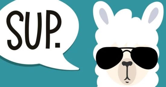 Meta Llama.. كل ما تحتاج معرفته حول نموذج الذكاء الاصطناعى التوليدى المفتوح