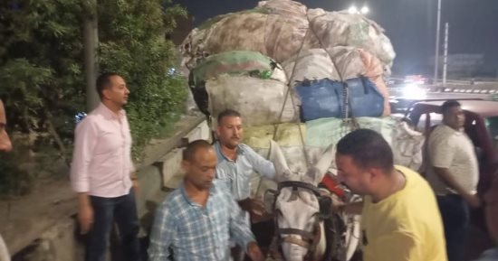 محافظة الجيزة تشن حملة على الفريزة والعربات الكارو فى بولاق الدكرور