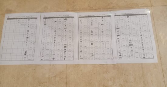 خريطة الدوائر الانتخابية فى سوهاج بعد إعلان الهيئة الوطنية للانتخابات