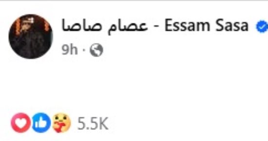 أول تعليق لعصام صاصا بعد إخلاء سبيله فى واقعة مشاجرة المعادى