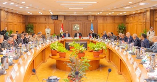 المجلس الأعلى للتعليم يستعرض منصة "إنسان" للتحالف الوطني بجامعة السويس