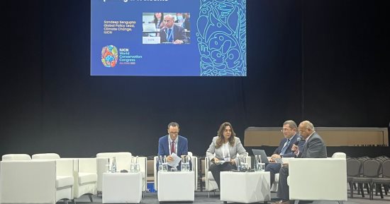وزيرة البيئة: مصر استثمرت 6.1 مليون دولار لحماية السواحل من آثار تغيرات المناخ