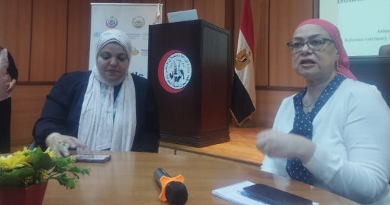 الاستخدام العشوائى للمضادات الحيوية يخلق بكتيريا مقاومة تفشل الأدوية في علاجها