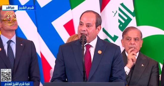 الرئيس السيسى: الشعب الفلسطينى له الحق فى تقرير مصيره