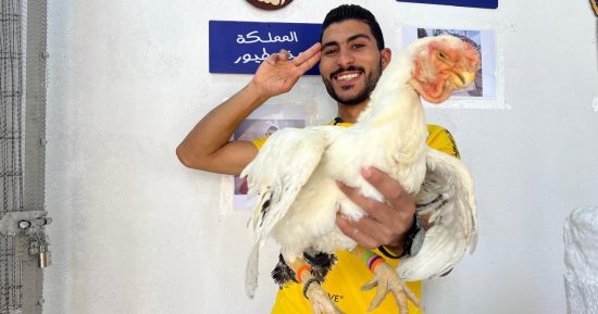 إسلام من الدقهلية عشق تربية الطيور النادرة.. يمتلك 15 سلالة دواجن عالمية