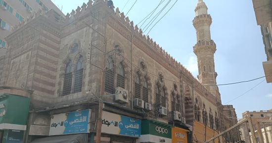 ذكرى توليه الحكم.. كيف مهد الصالح أيوب لصعود المماليك؟
