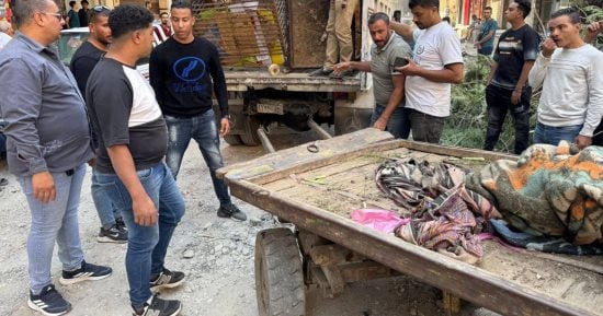 محافظة الجيزة تضبط عربات كارو تفرز المخلفات بالطريق العام فى فيصل