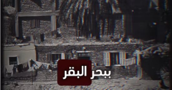 أحرقته وهو نائم.. برنامج أمانى بتحكى يستعرض اعترافات قاتلة زوجها بالشرقية