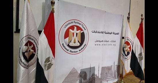 طعن ضد مرشحين بالشرقية لاتهام أحدهما بانتحال صفة أستاذ جامعي وآخر لصدور حكم جنائي ضده